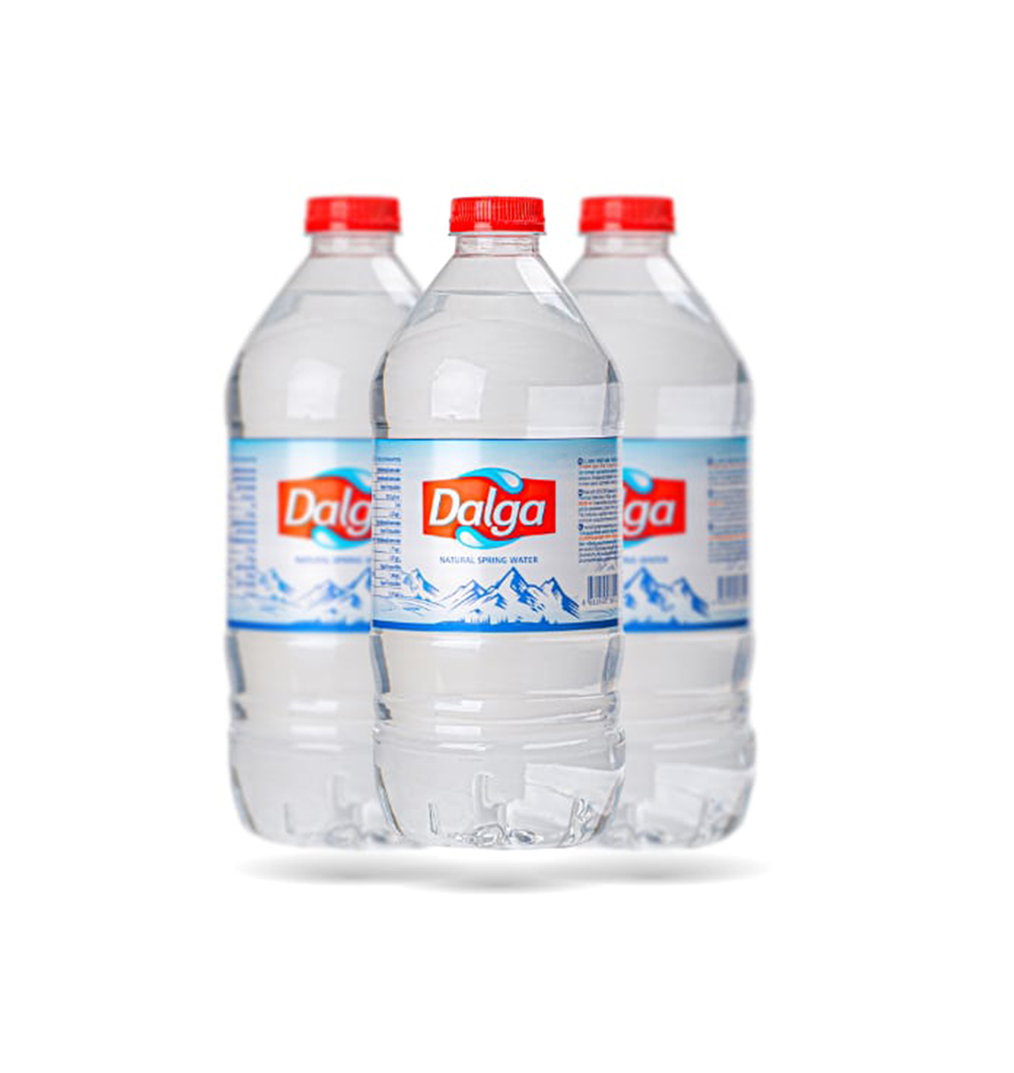 Dalga Doğal Kaynak Suyu 0,5 L