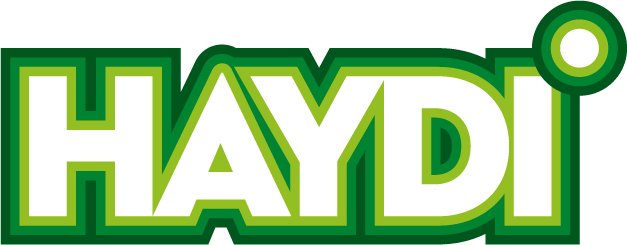 logo-haydi